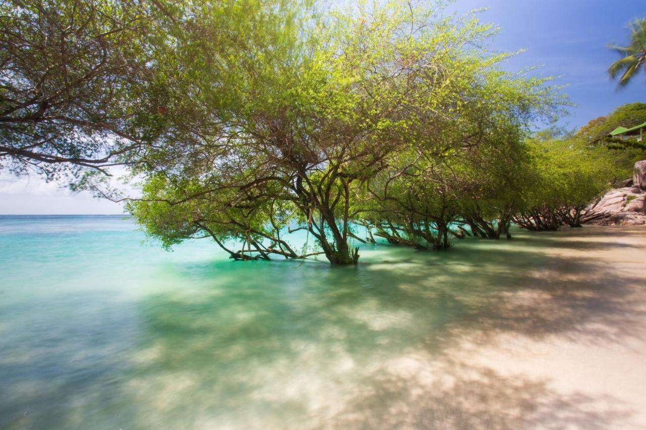 Koh Tao Relax Freedom Beach Resort Exterior photo